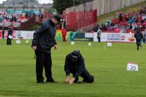 Trying to prise the shot from the sodden turf at the European Athletics Team Championships.